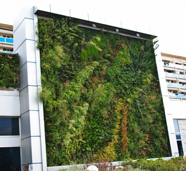 Озеленение фасада