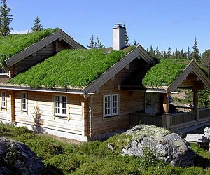 Норвежские дома за небольшие деньги
