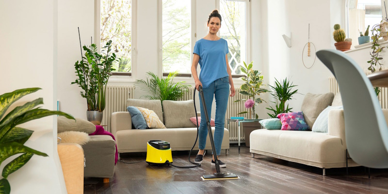 напольный пароочиститель